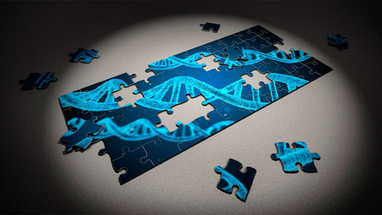 Herencia genética y autismo: Explorando la influencia de los genes en el TEA.